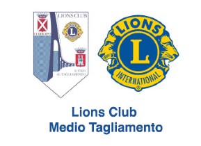logo-sponsor-lion-2022